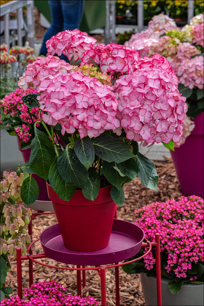 Amsterdam 202204262103