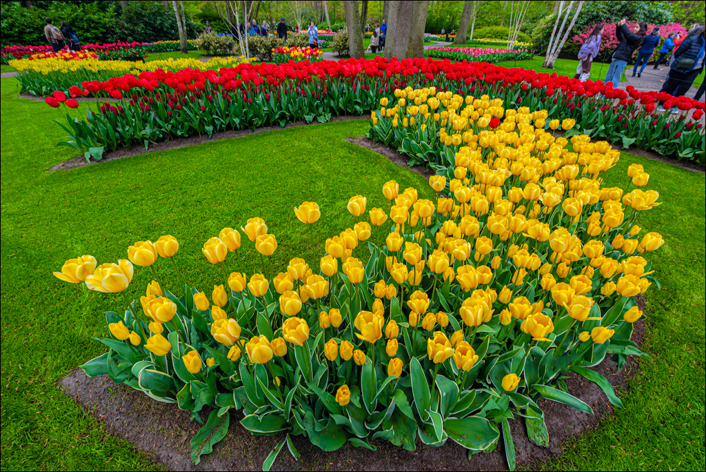 Amsterdam 202204262108