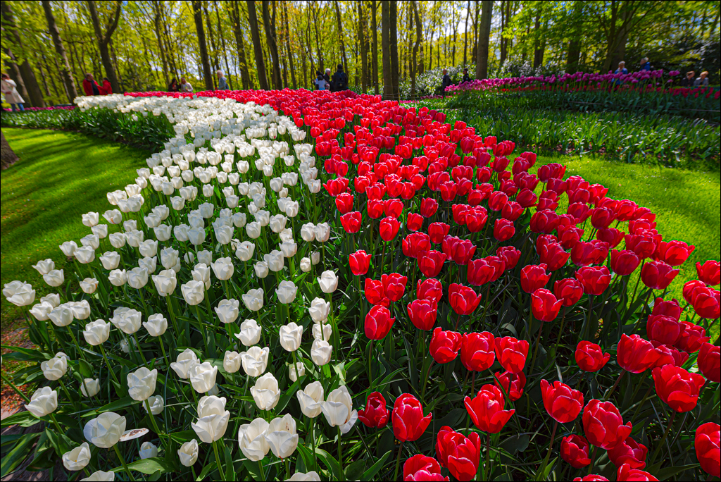 Amsterdam 202204262134