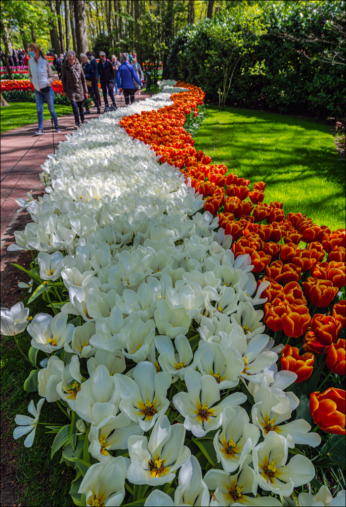 Amsterdam 202204262143