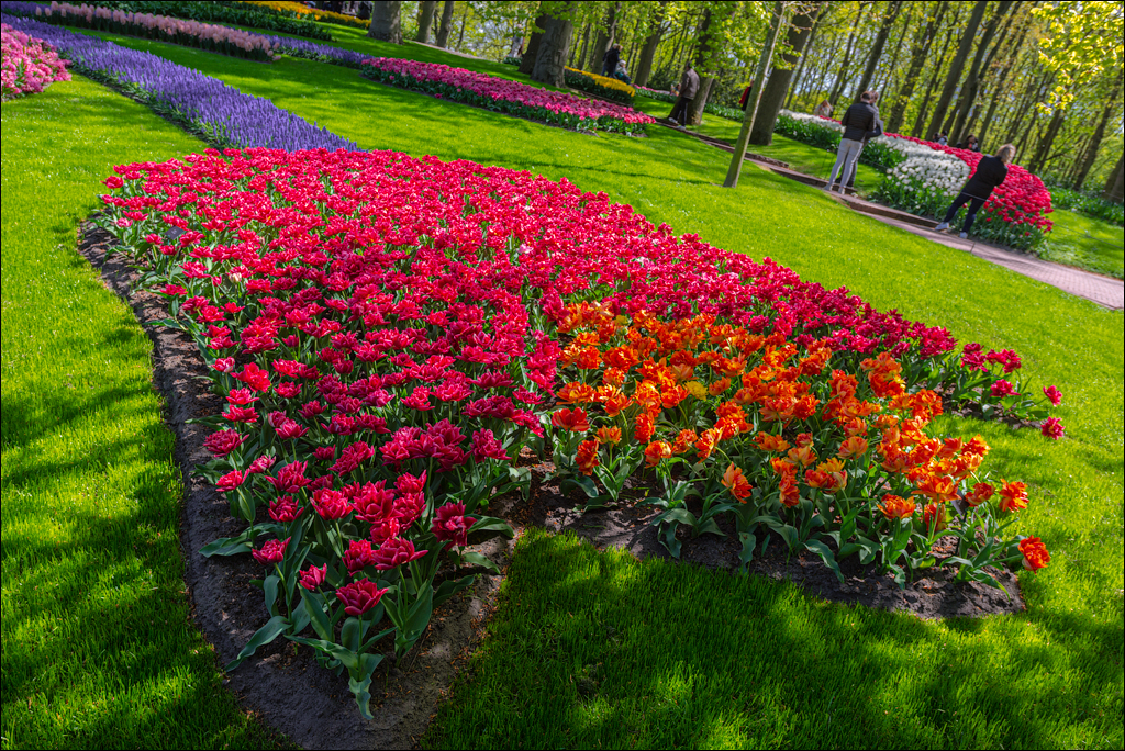 Amsterdam 202204262144