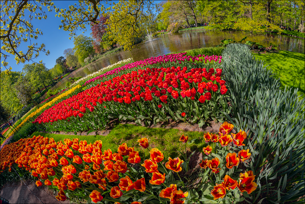 Amsterdam 202204262155