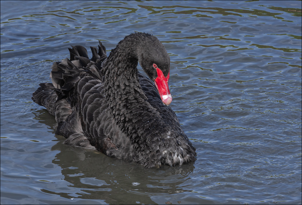 Amsterdam 20220501 102