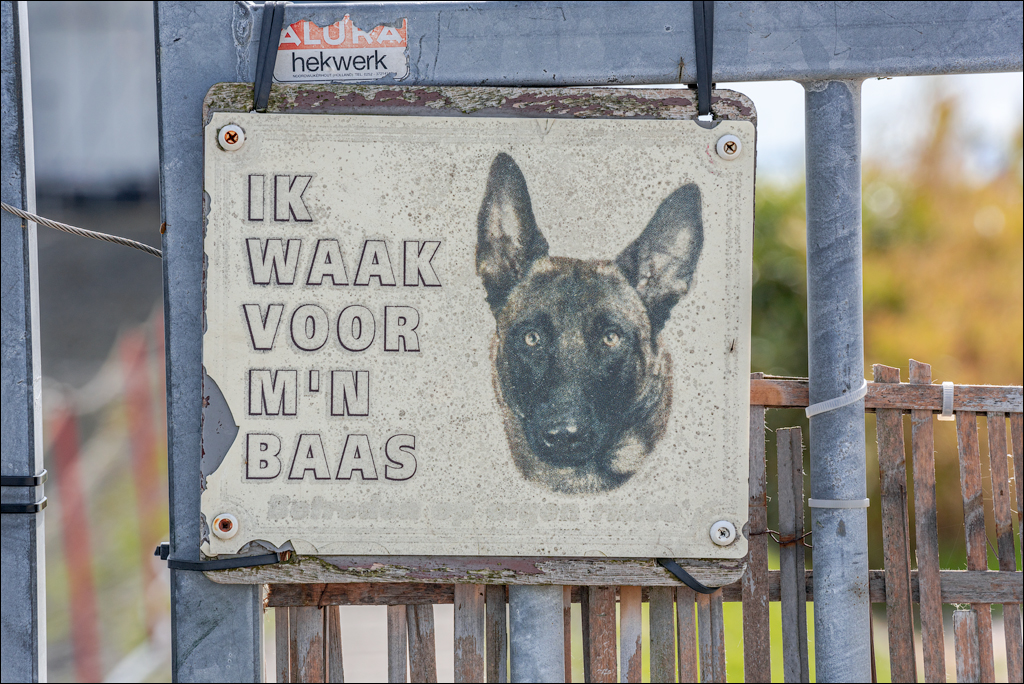 Amsterdam 20220501 121