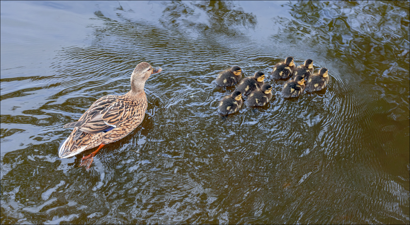 Amsterdam 20220427163