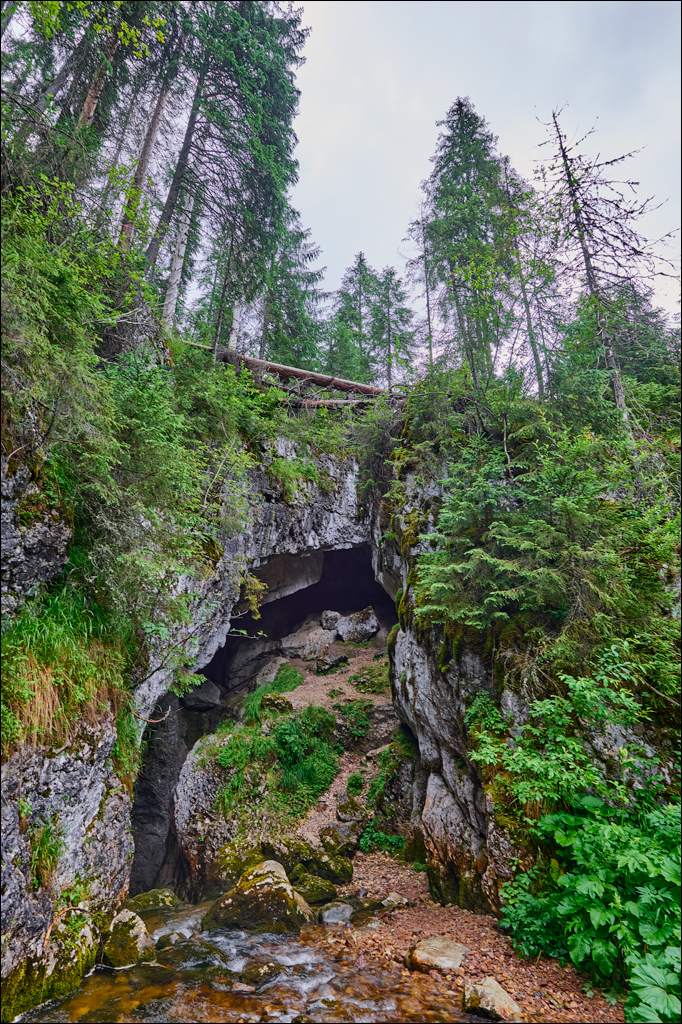 Apuseni 21 23jul2023 110