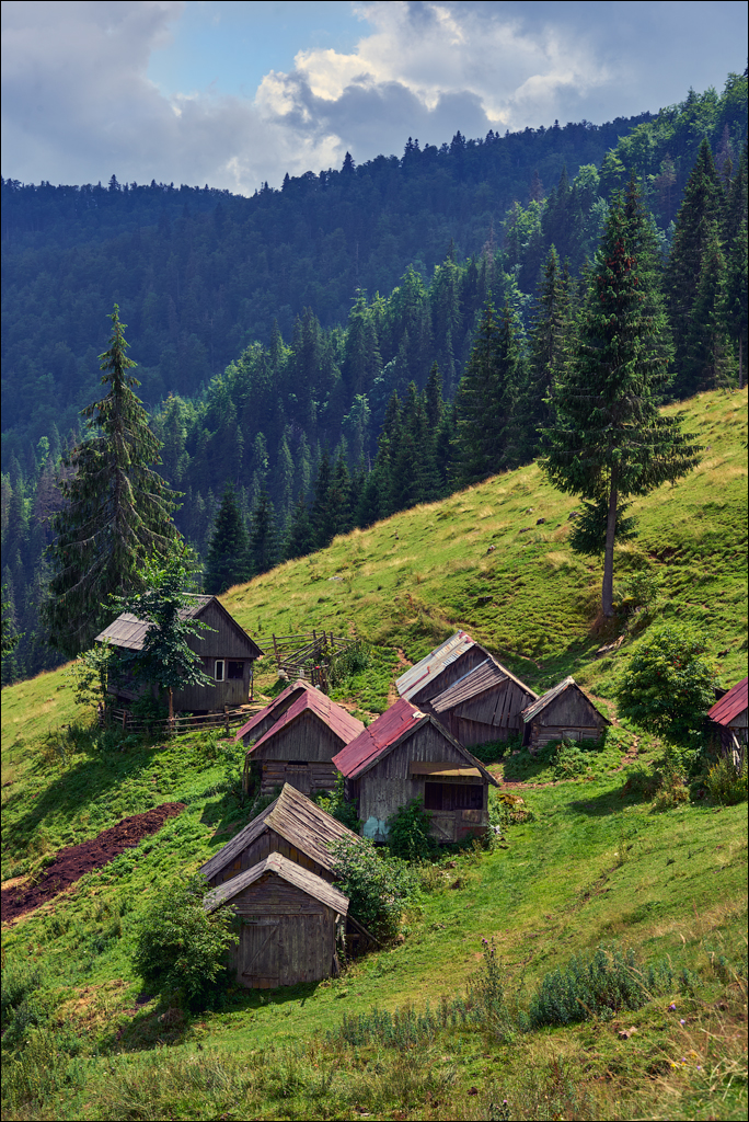 Apuseni 21 23jul2023 120