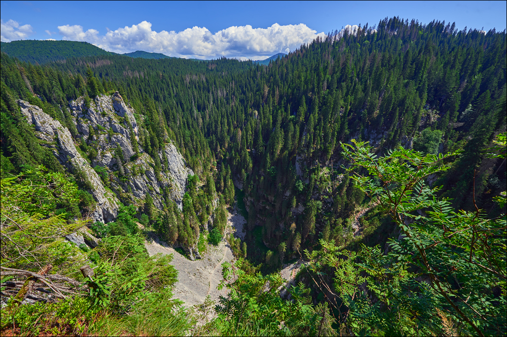 Apuseni 21 23jul2023 133