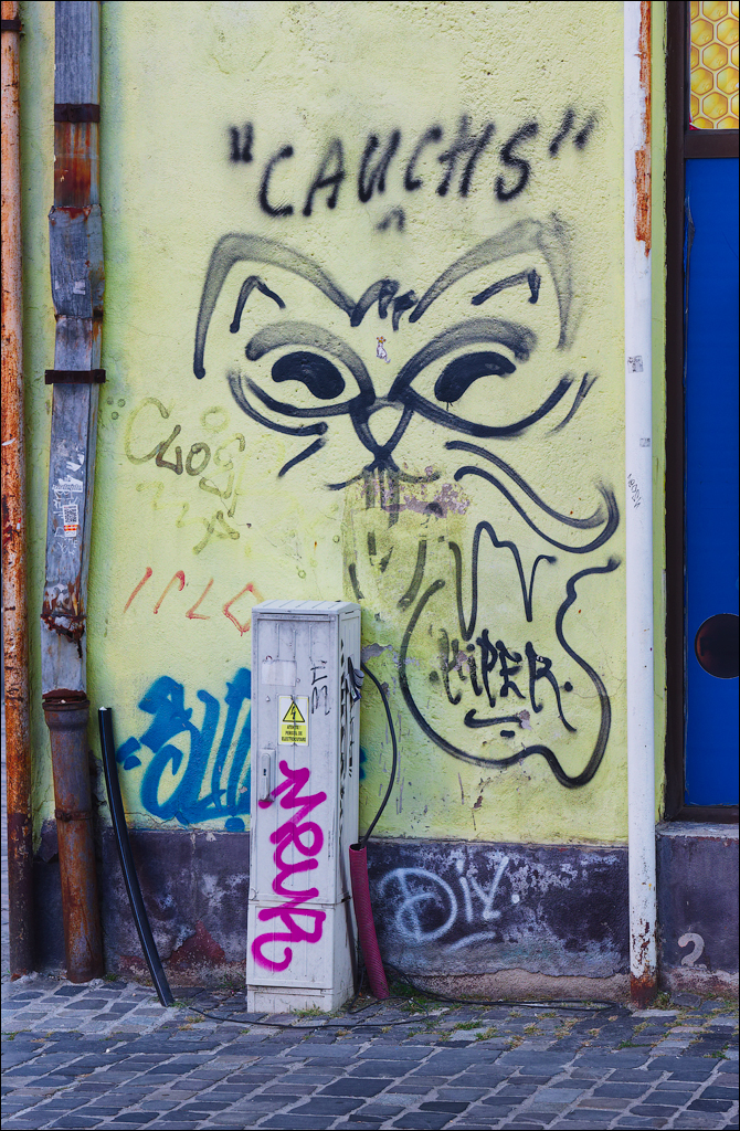 Brasov TimisuDeJos PoianaBrasov 11 16aug2024 101