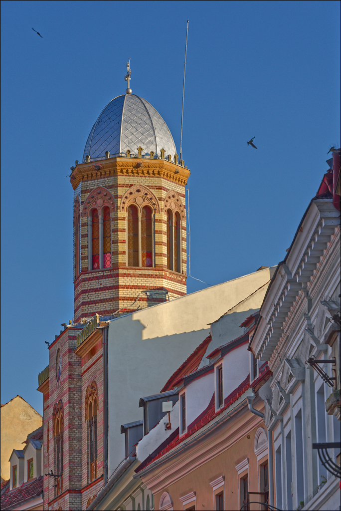 Brasov TimisuDeJos PoianaBrasov 11 16aug2024 105