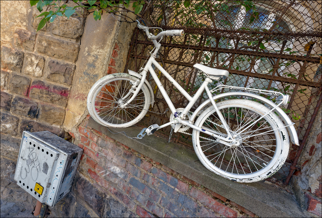 Brasov TimisuDeJos PoianaBrasov 11 16aug2024 128