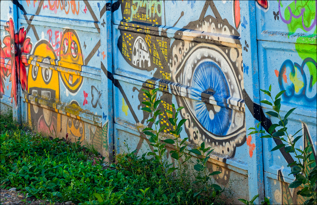 Brasov TimisuDeJos PoianaBrasov 11 16aug2024 140