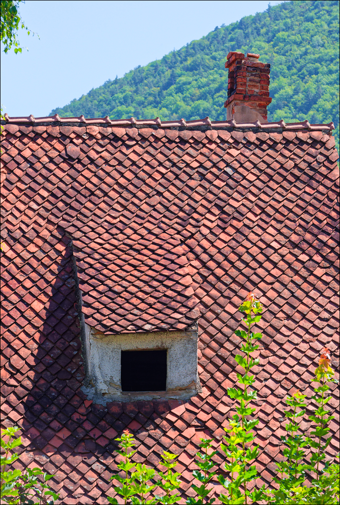Brasov TimisuDeJos PoianaBrasov 11 16aug2024 163