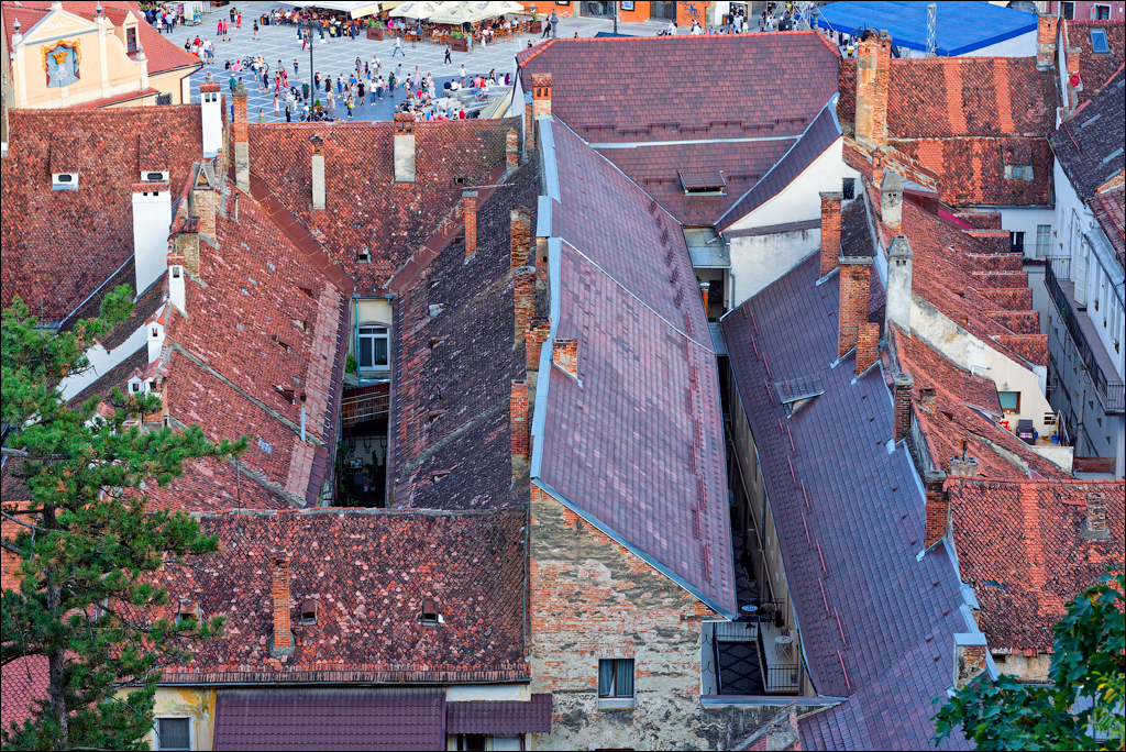 Brasov TimisuDeJos PoianaBrasov 11 16aug2024 169
