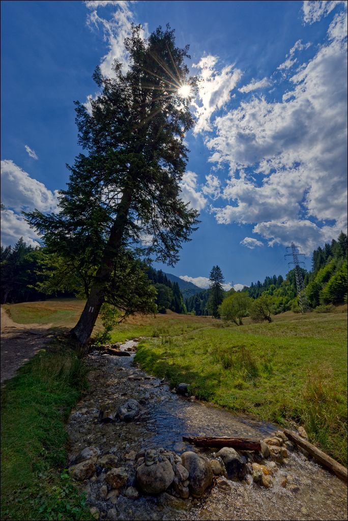 Brasov TimisuDeJos PoianaBrasov 11 16aug2024 208