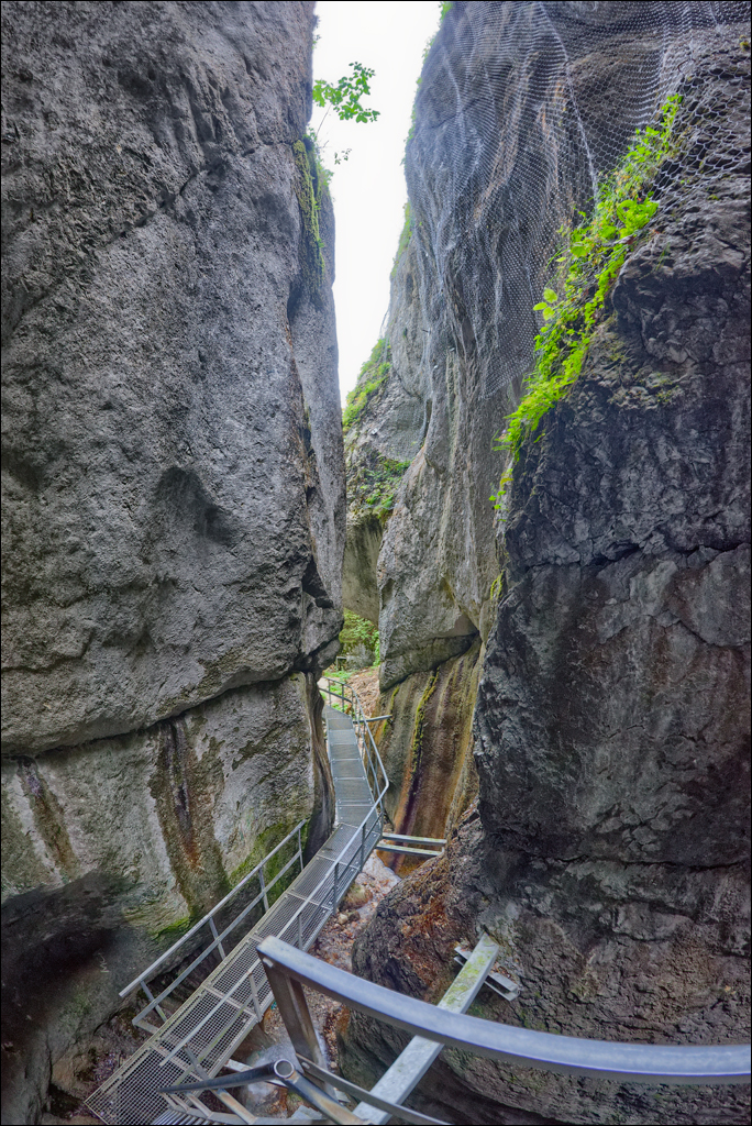 Brasov TimisuDeJos PoianaBrasov 11 16aug2024 225