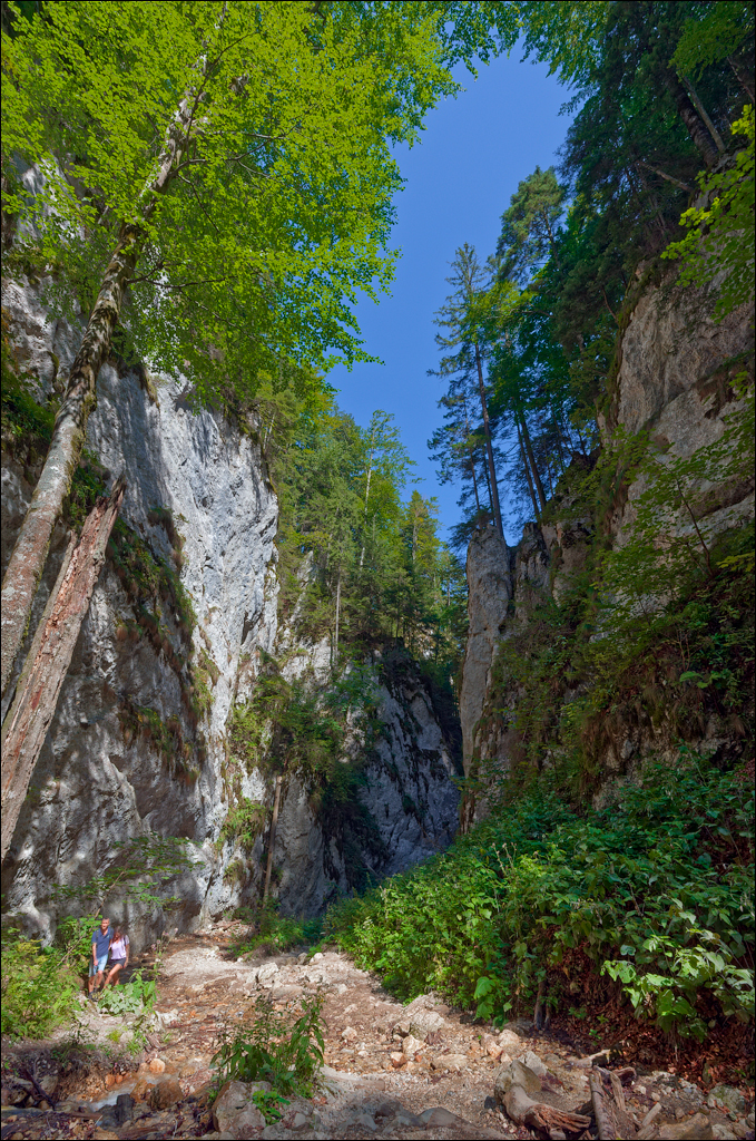 Brasov TimisuDeJos PoianaBrasov 11 16aug2024 240