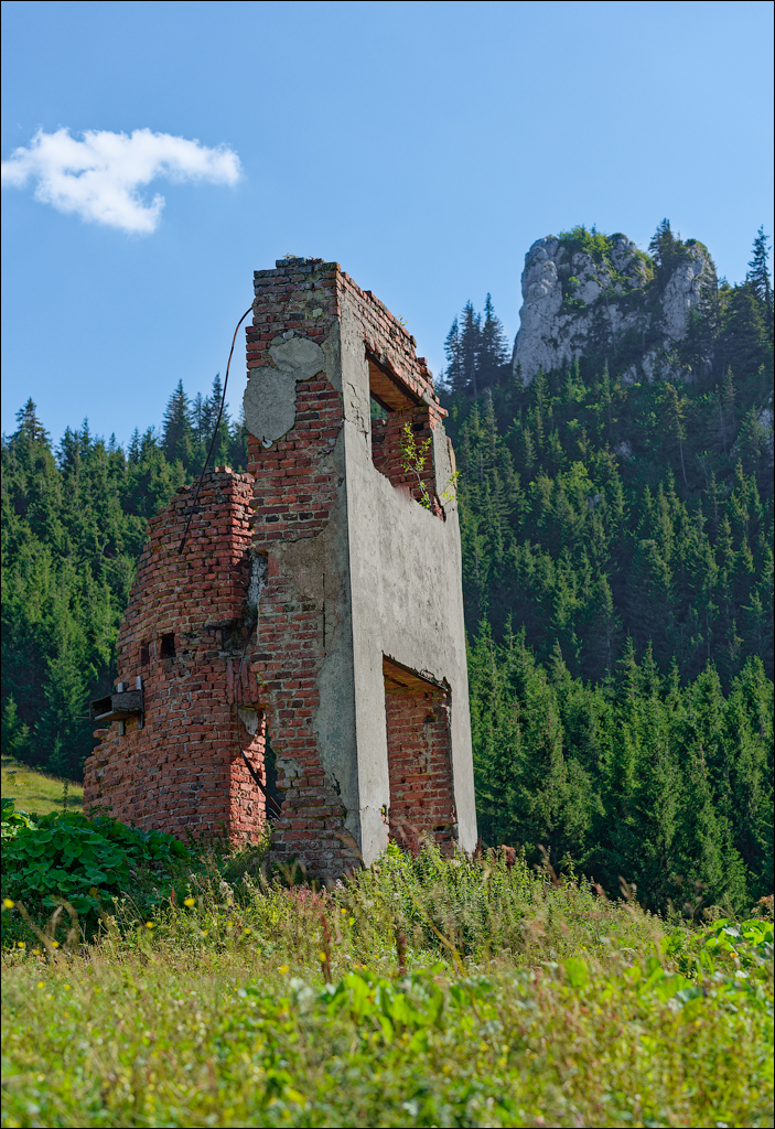 Brasov TimisuDeJos PoianaBrasov 11 16aug2024 251