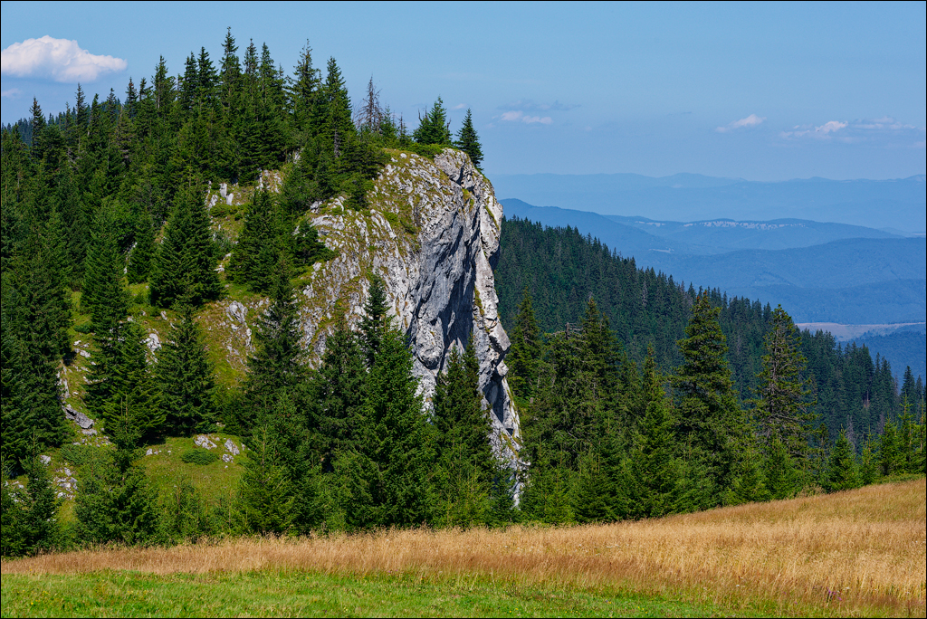 Brasov TimisuDeJos PoianaBrasov 11 16aug2024 254