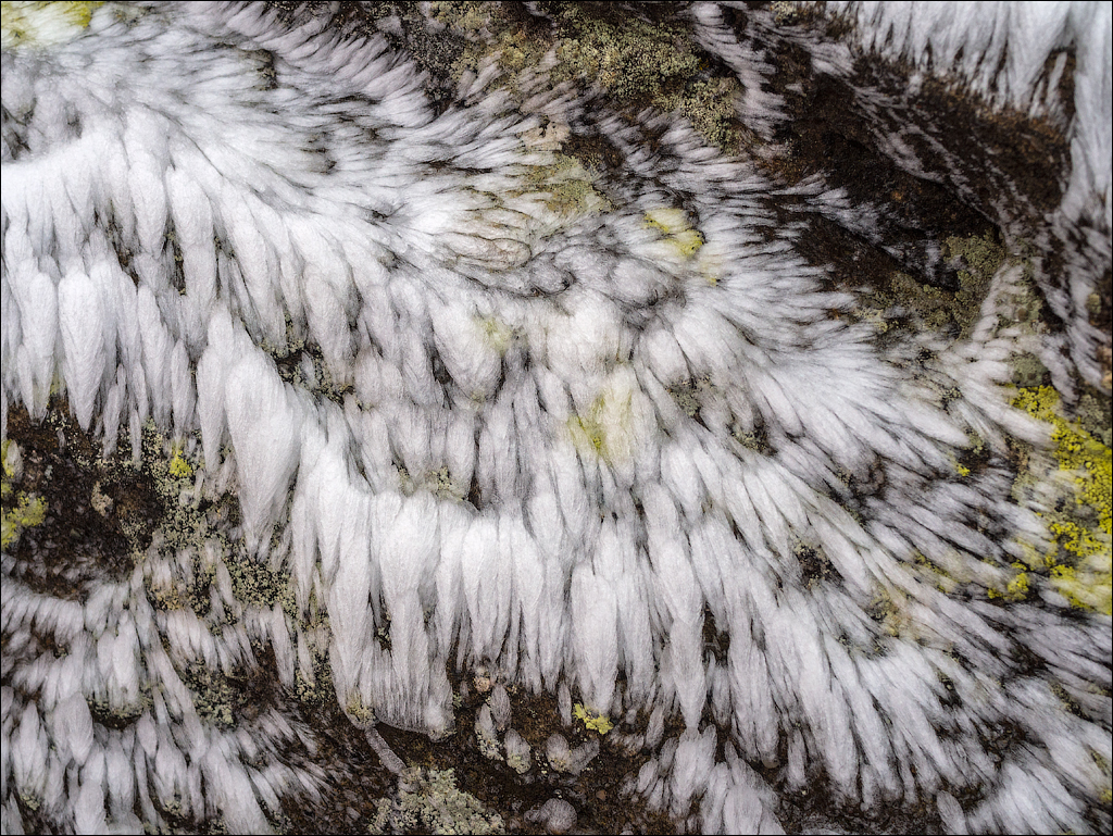 Bucegi Omu 20170912079