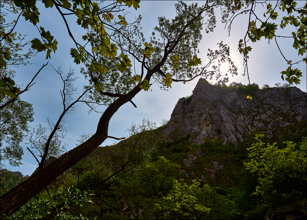 CheileTurzii 2017 116116