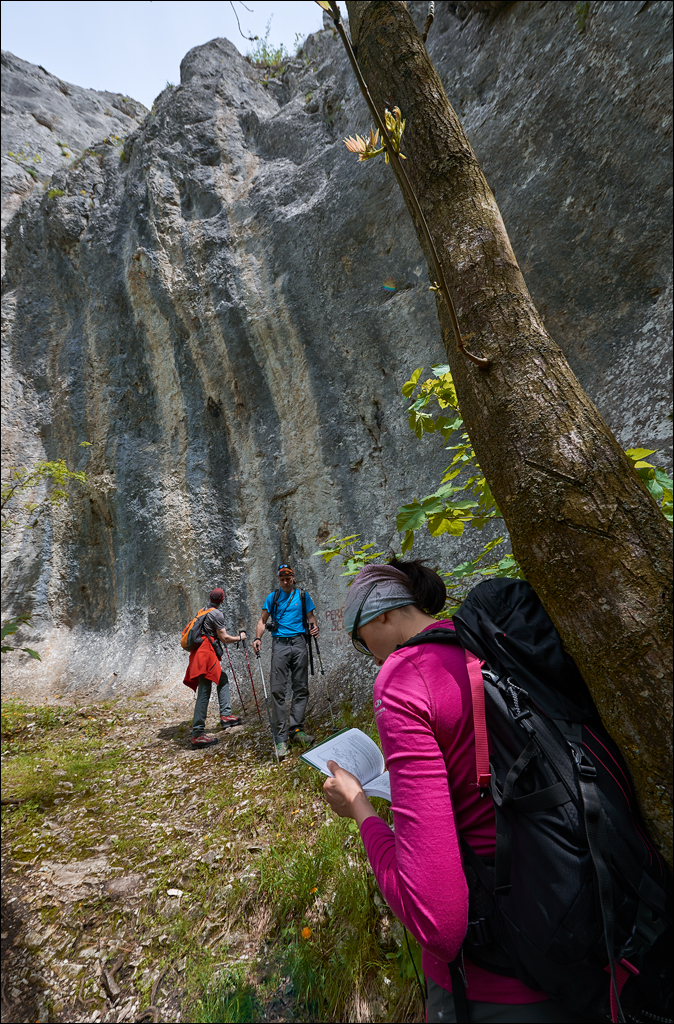 CheileTurzii 2017 117117