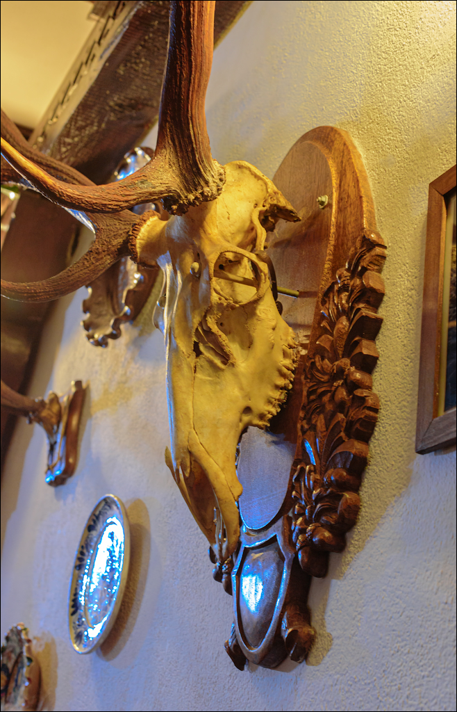 CheileTurzii Cluj 25 26feb2023 166