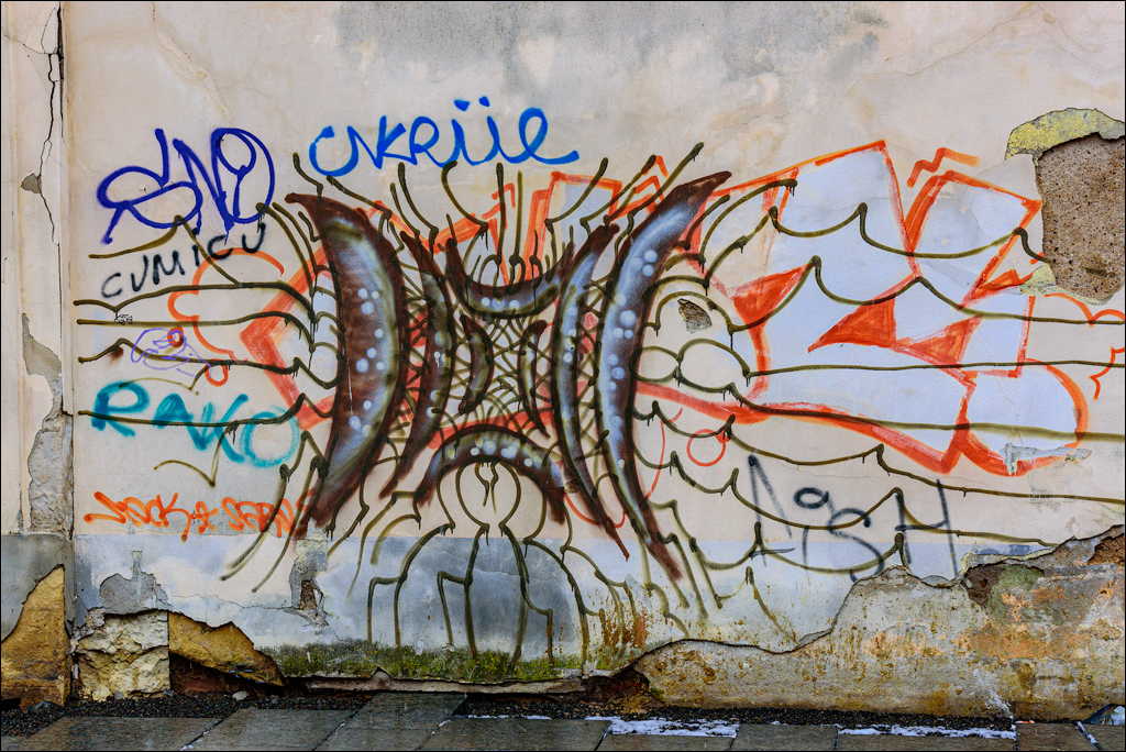 CheileTurzii Cluj 25 26feb2023 189