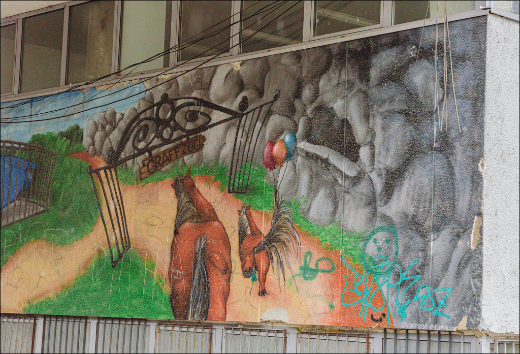 CheileTurzii Cluj 25 26feb2023 195