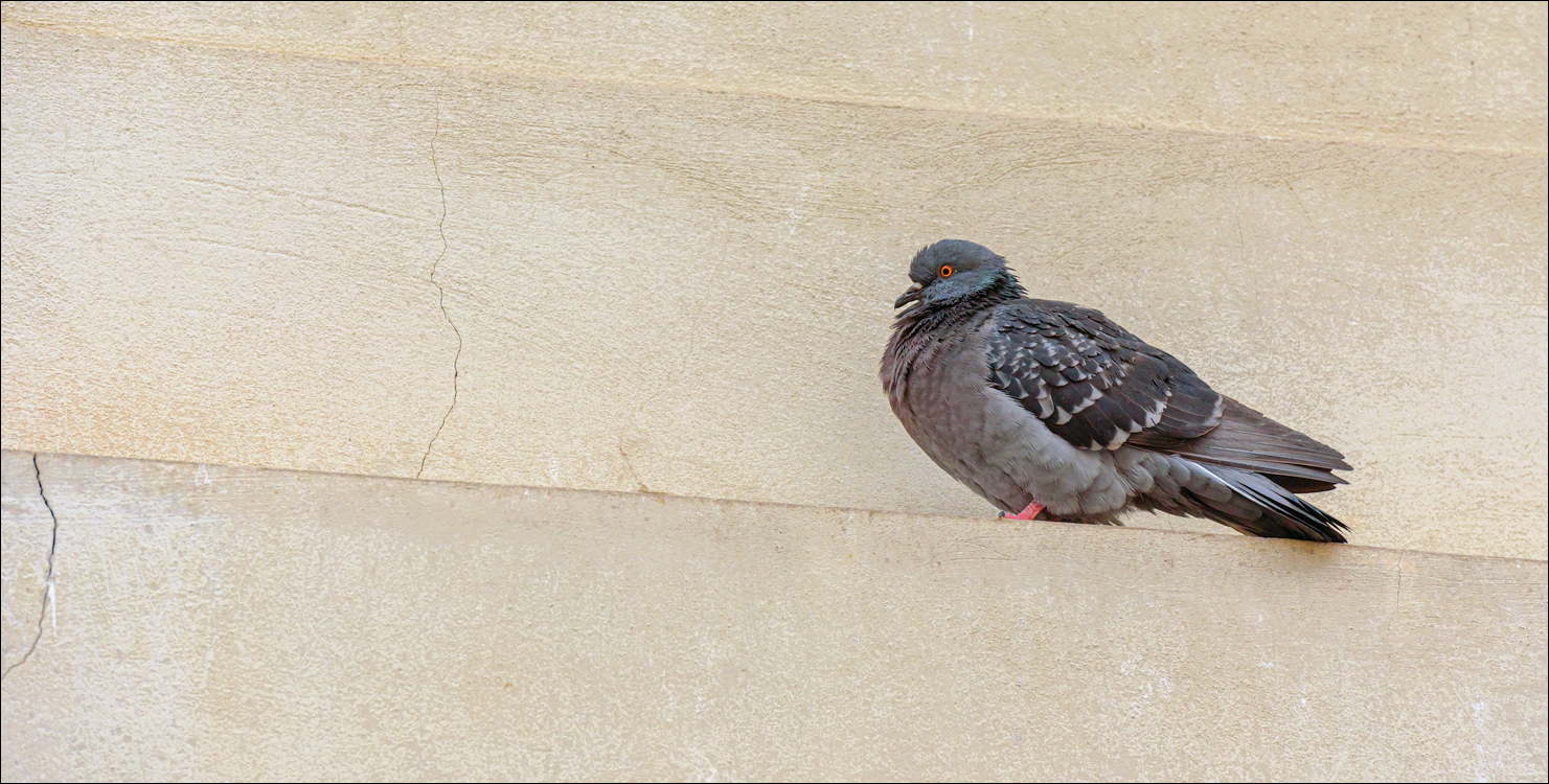 CheileTurzii Cluj 25 26feb2023 199