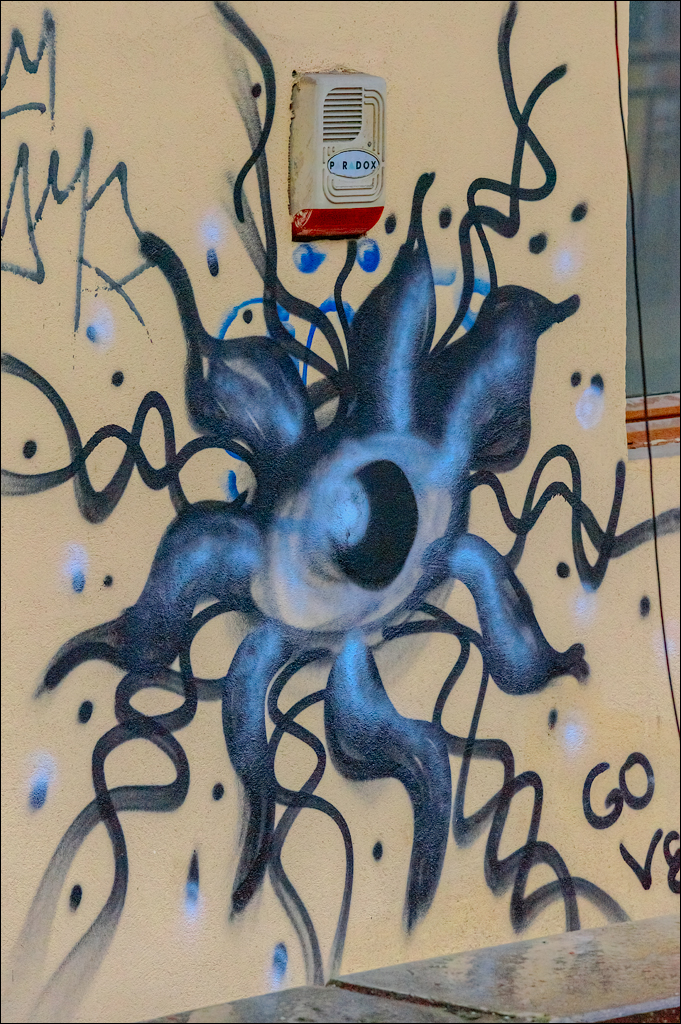 CheileTurzii Cluj 25 26feb2023 250