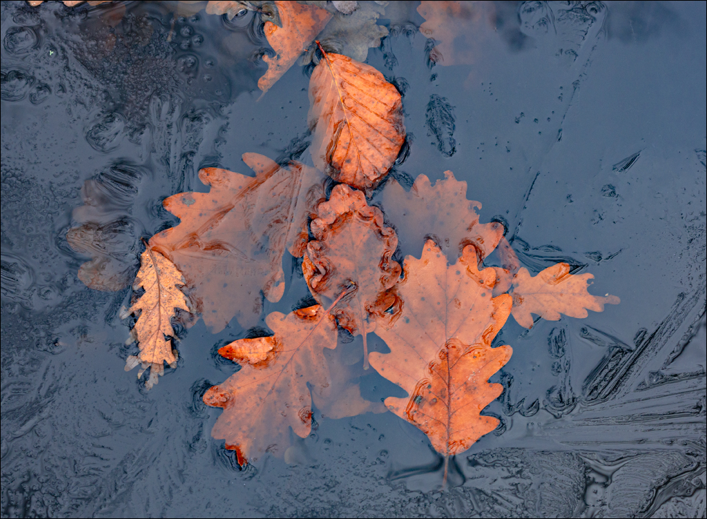 ClujNapoca PesteraUrsilor 20161111 101