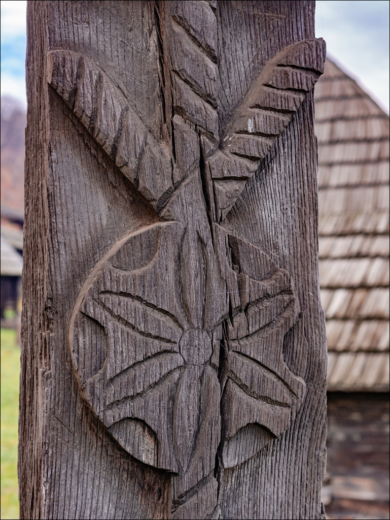 ClujNapoca PesteraUrsilor 20161111 108