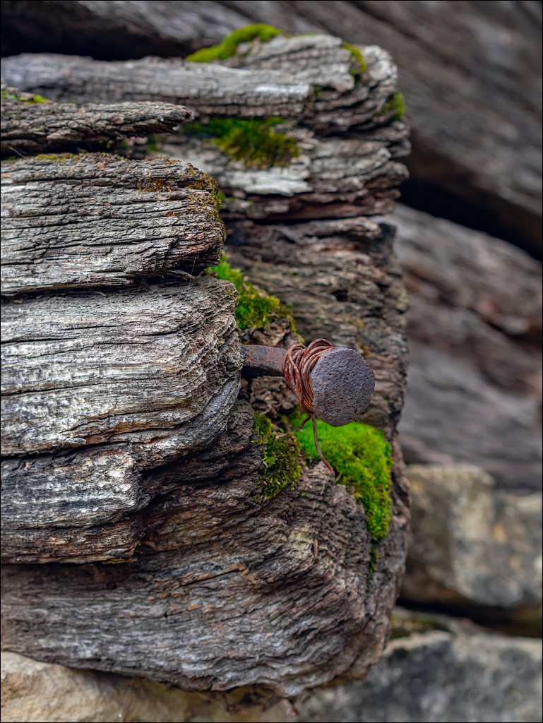 ClujNapoca PesteraUrsilor 20161111 129