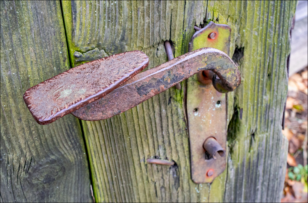 ClujNapoca PesteraUrsilor 20161111 139