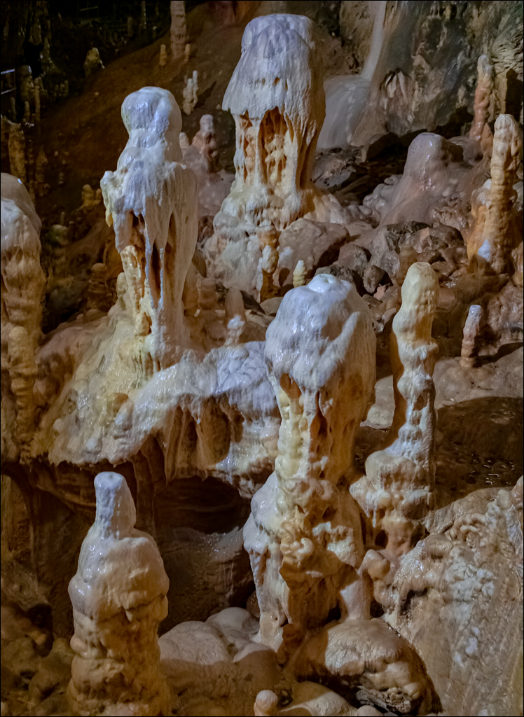 ClujNapoca PesteraUrsilor 20161111 153