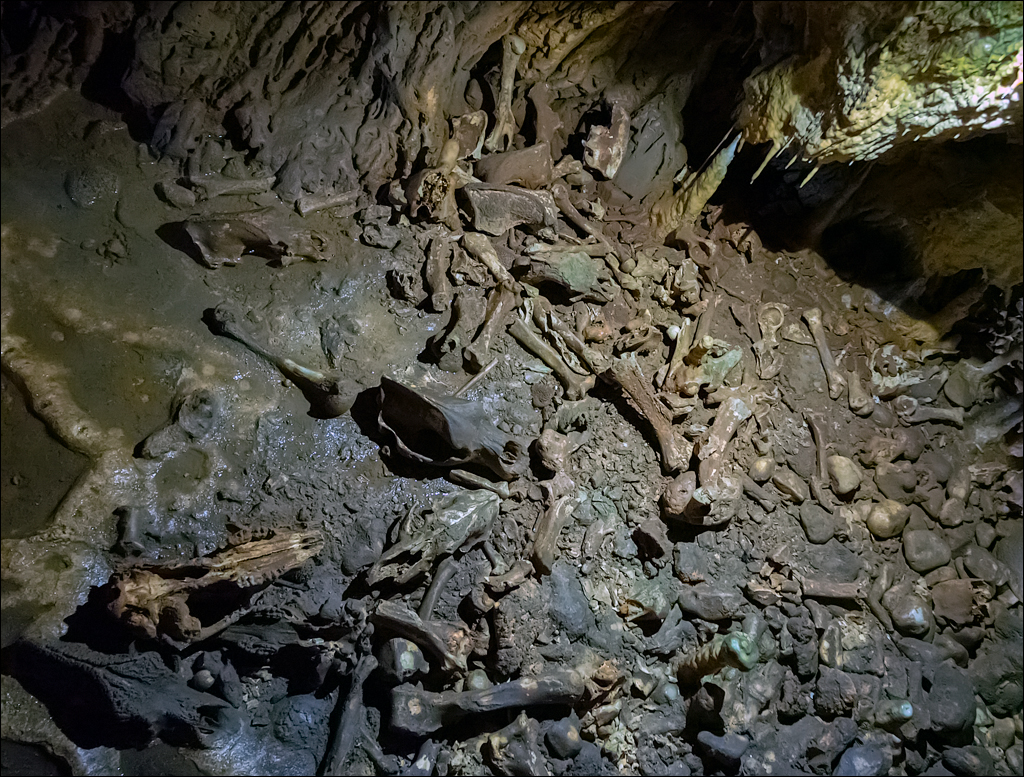 ClujNapoca PesteraUrsilor 20161111 157