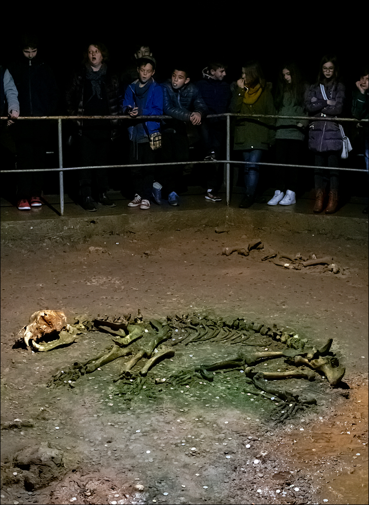 ClujNapoca PesteraUrsilor 20161111 175