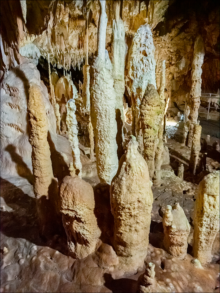 ClujNapoca PesteraUrsilor 20161111 196