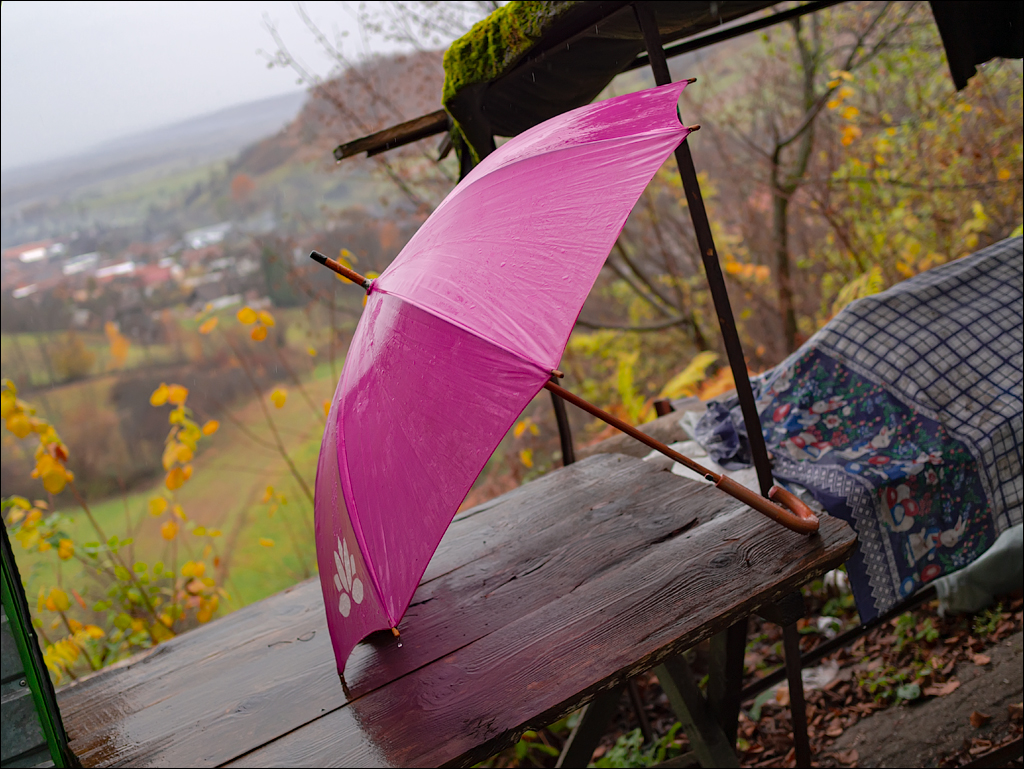 ClujNapoca PesteraUrsilor 20161111 202