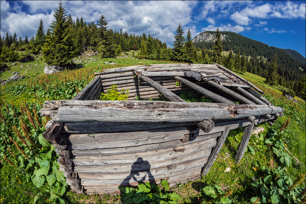 HasmasSinguratica 20180601 3042