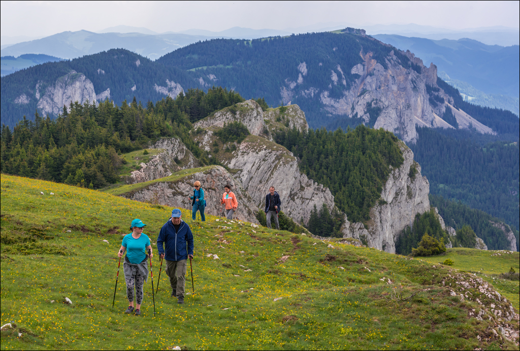 HasmasSinguratica 20180601 3081