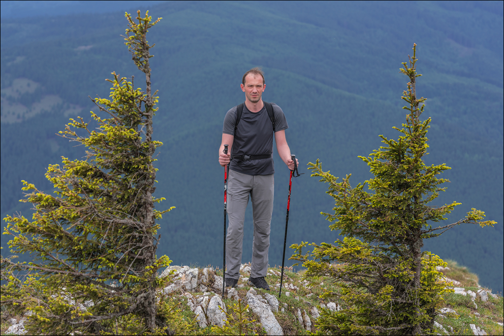 HasmasSinguratica 20180601 3084