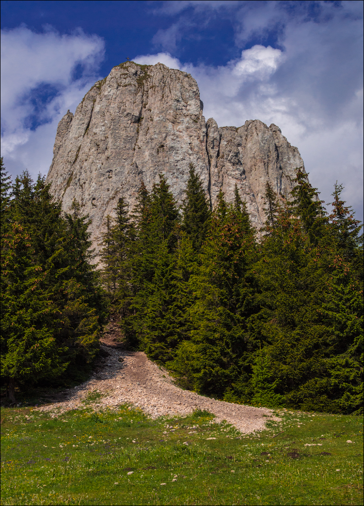 HasmasSinguratica 20180601 3102