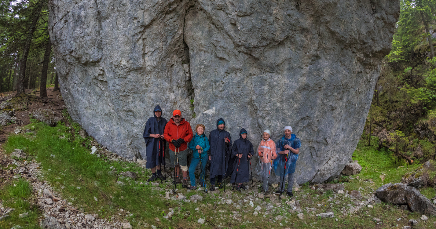 HasmasSinguratica 20180601 3161