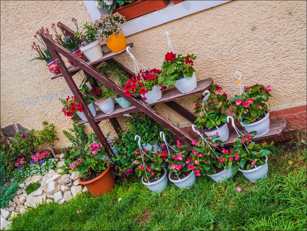 HasmasSinguratica 20180601 3213