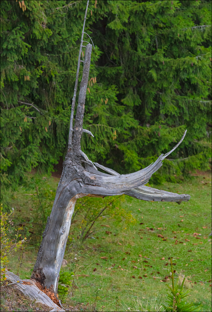 LacuRosu 27 29sep2022 129