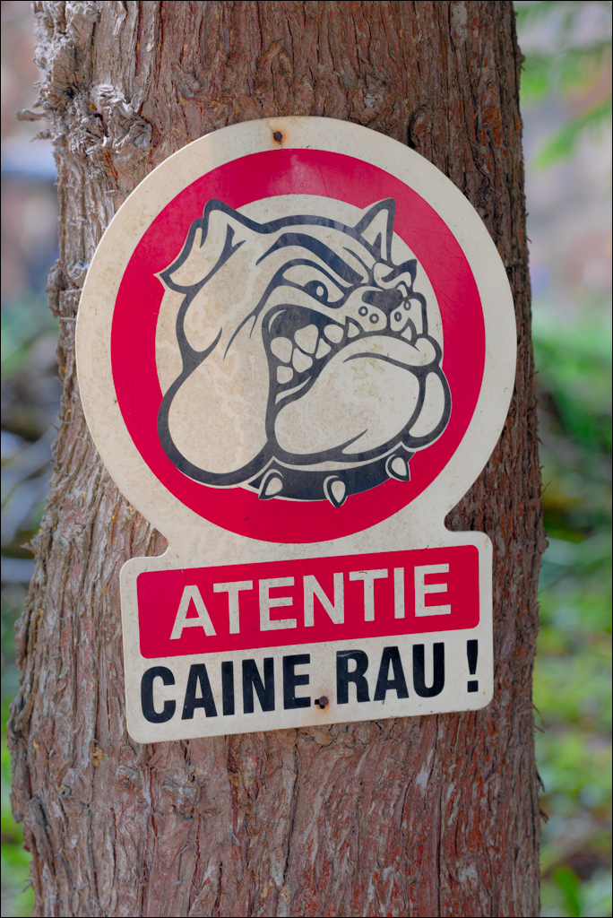 LaculRosu PiatraNeamt 27 31aug2021 107