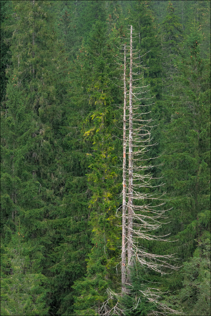 LaculRosu PiatraNeamt 27 31aug2021 124