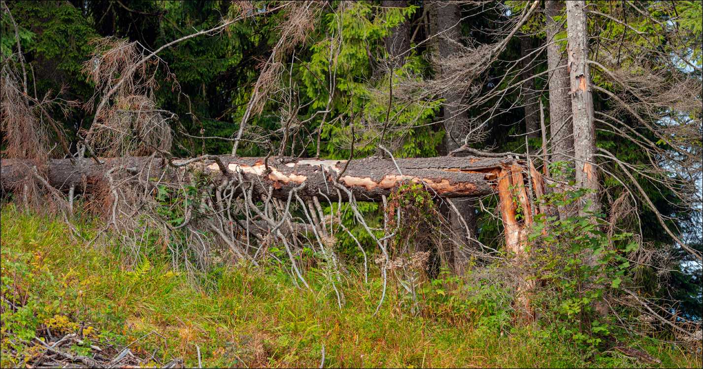 LaculRosu PiatraNeamt 27 31aug2021 132